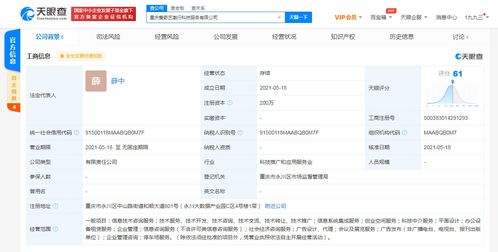 愛奇藝在重慶成立科技公司，拓展創業空間與信息系統集成服務